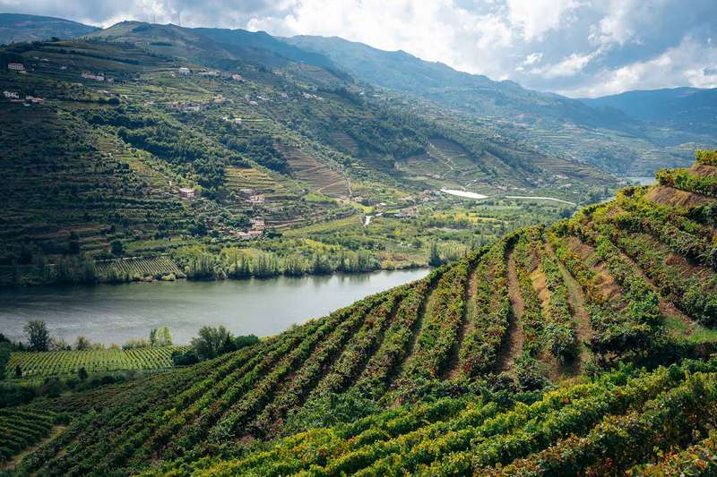 Exploring the Historic Vineyards of Portugal's Douro Valley