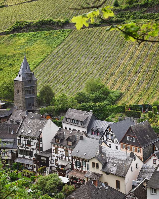 Exploring Bacharach's Medieval Festivals Along the Rhine