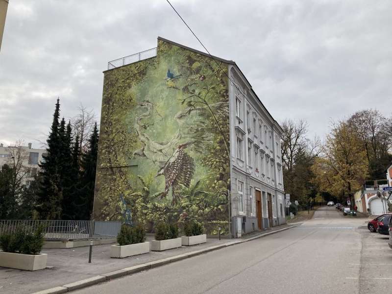 The Unexpected Colors of Linz: Following The Trail of the City's Most Daring Murals