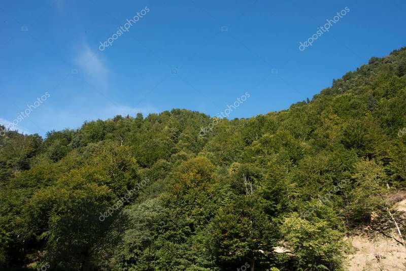 Rites of Spring: Maramureș Villages' Medieval Rituals