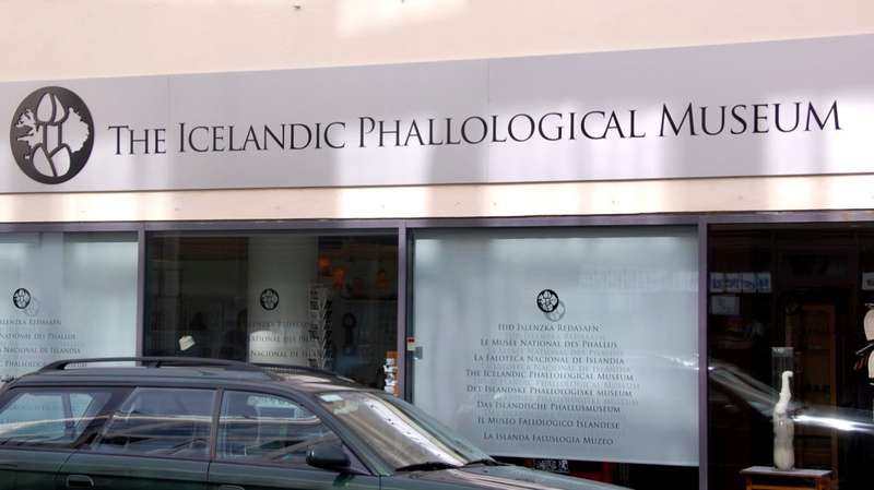 Exploring Iceland's Unique Phallological Museum Collection