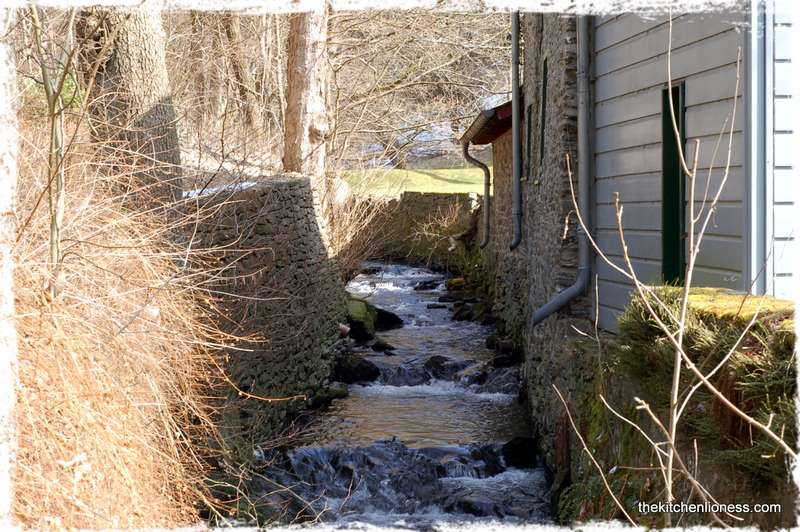 From Seed to Spread: Mustard Making at Monschau Museum