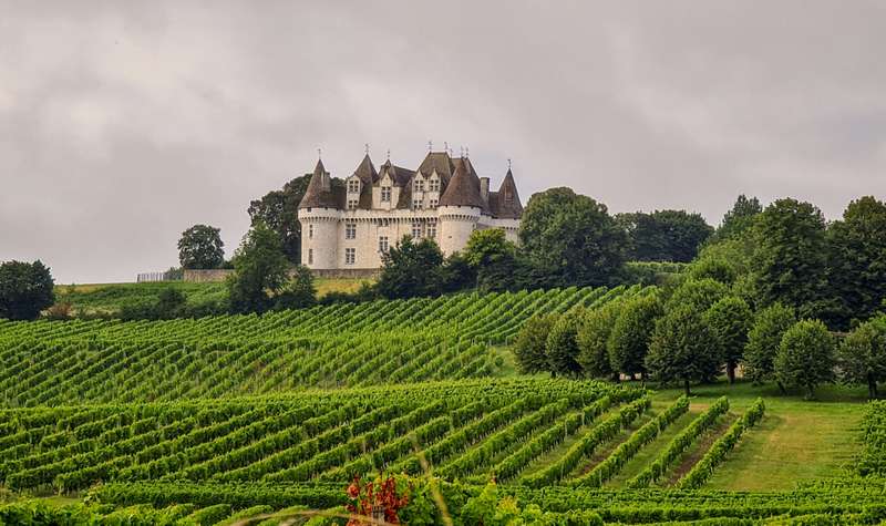 Exploring France's Historic Wine Trails and Their Impact