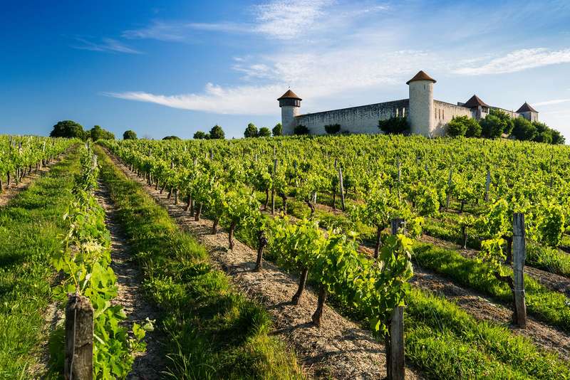 Exploring Bordeaux's Scenic Rail Route: The Vineyards Express