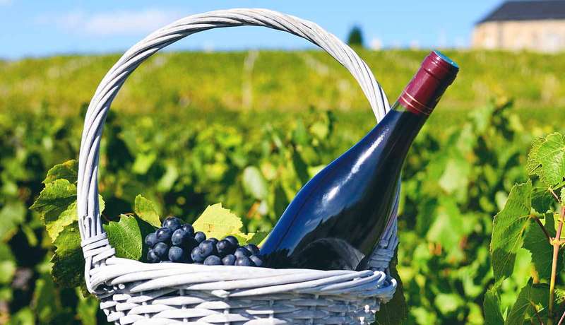 Exploring Bordeaux's Wine History Aboard The Vineyards Express