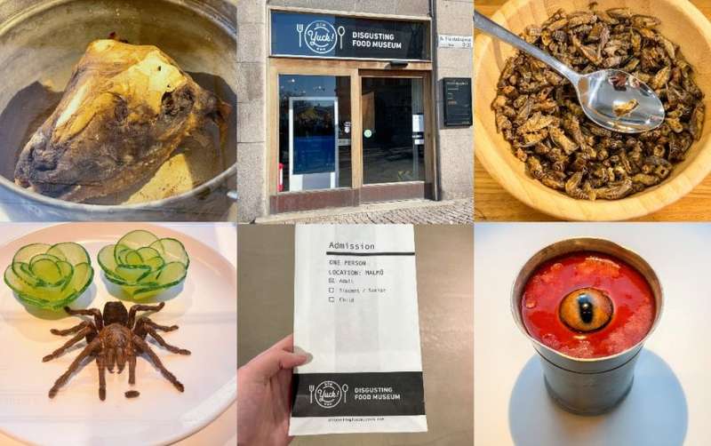 Exploring Sweden's Disgusting Food Museum: A Taste of the Unusual
