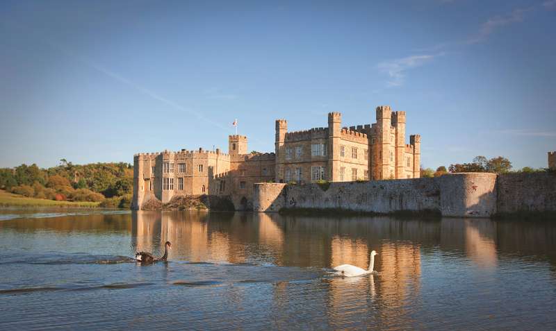 Leeds Castle's Canine Collection: A Unique Historical Insight