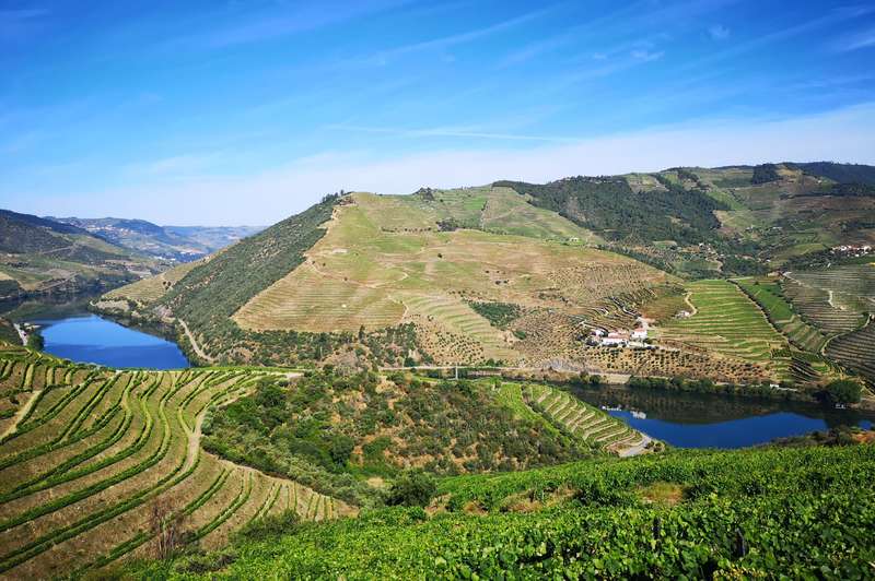 Spring Wine Releases in Portugal's Douro Valley