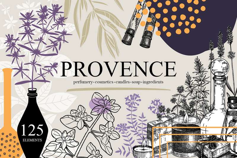 Exploring Wine Art in Provence: A Palette of Grapes