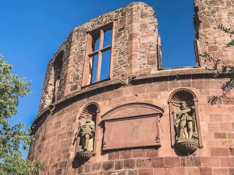 Vines Over Kings: Nature's Takeover of Heidelberg Castle