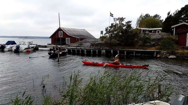 Foraging and Cooking in Sweden’s St. Anna Archipelago
