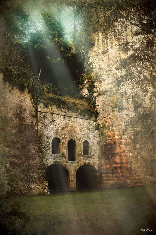 Siege Warfare in the Forest: How Woodland Castles Held Strong