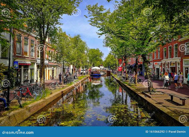 Wildlife Along Delft's Canals: A Closer Look at Urban Nature