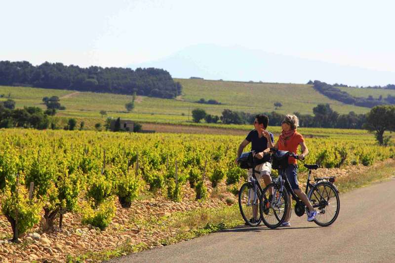 Exploring Rosé Tastings Along Provence's Scenic Wine Trail