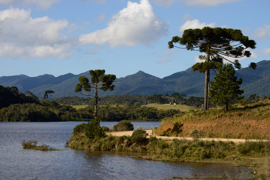 Discovering The Natural Wonders Of Piraquara, Brazil