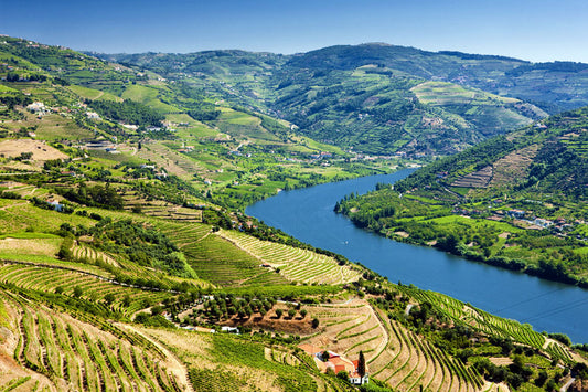 Discovering The Duero: A Journey Through Portugal And Spain