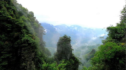 Culinary Traditions Of Laibin