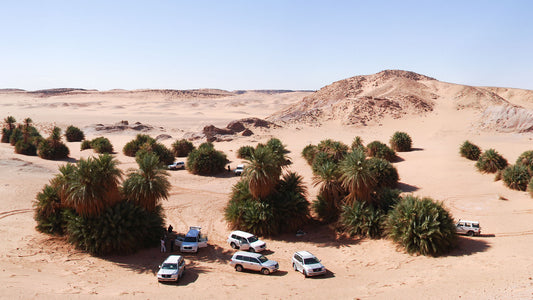 Discovering Reggane: An Oasis Of Culture And Adventure In Algeria