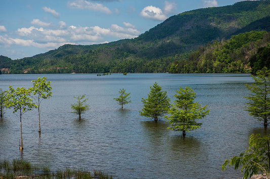 Discovering Ocoee, Tennessee: A Hidden Gem For Adventure Seekers