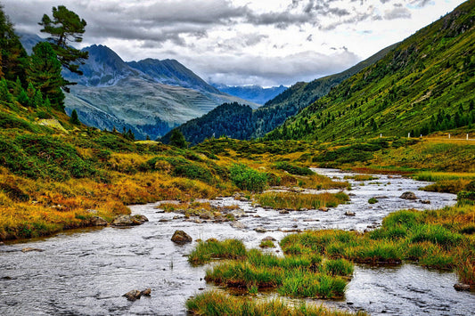 Discovering Valley Stream: A Hidden Gem In New York