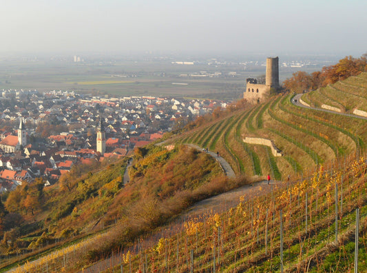 Discovering Schriesheim: A Hidden Gem In Germany