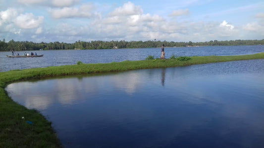 Kadinamkulam Beach: Activities And Local Cuisine