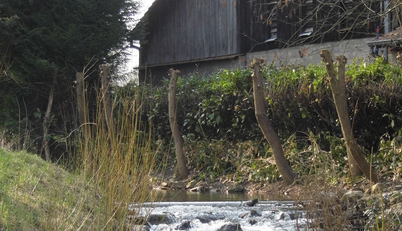 Discovering Stotzheim: A Hidden Gem In France