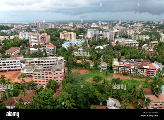 Mangalore's Street Food Guide: A Culinary Adventure