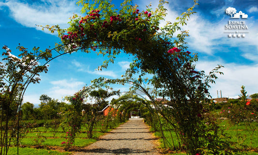 Discovering Soavina Antanety: A Hidden Gem In Madagascar