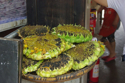 Culinary Experiences In Gaizhou