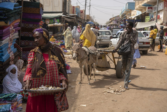 Discovering Kaedi: A Hidden Gem In Mauritania