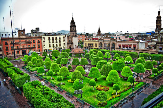 Cultural Heritage Of León De Los Aldama