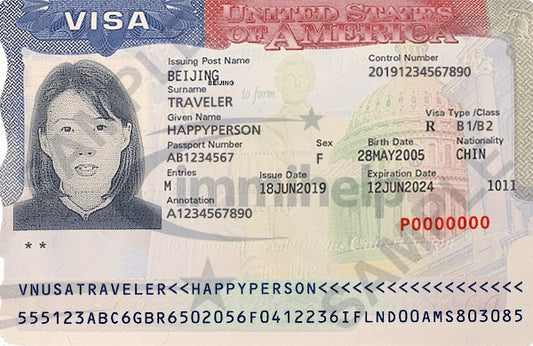 Understanding Us Travel Visa Status