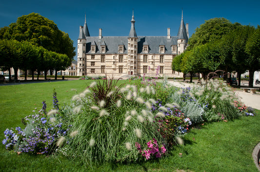 Discovering Nevers: A Hidden Gem In France