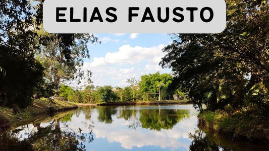 Discovering Elias Fausto: A Hidden Gem In São Paulo