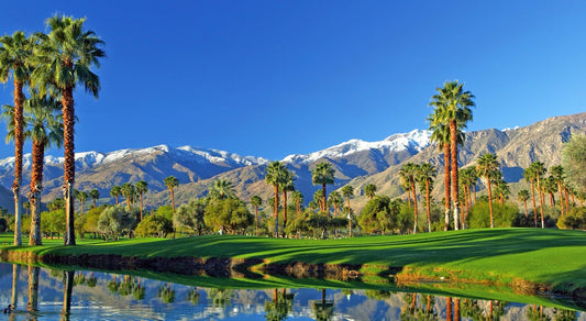 Discovering Palm Desert: A Desert Oasis In California