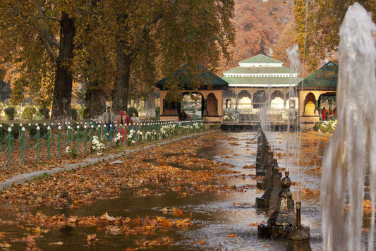 Must-visit Gardens In Srinagar