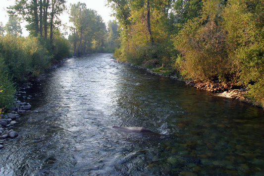 Discovering Wood River: A Hidden Gem In Idaho