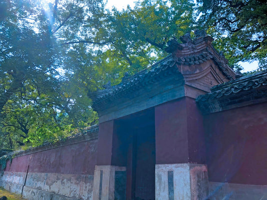 Discovering Qingzhou's Historical Landmarks