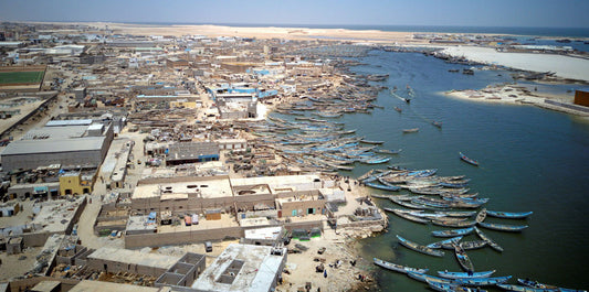 Nouadhibou: A Hidden Gem Of Unique Marine Life And Rich Fishing Culture