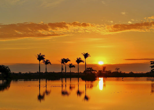 Discovering Los Llanos: A Natural Paradise In Venezuela