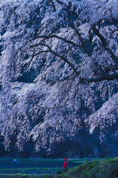 Discovering Numata: A Hidden Gem In Japan