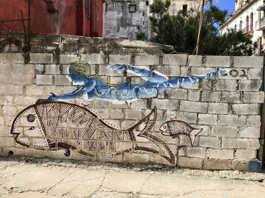 Discovering The Vibrant Street Art Scene Of Centro Habana