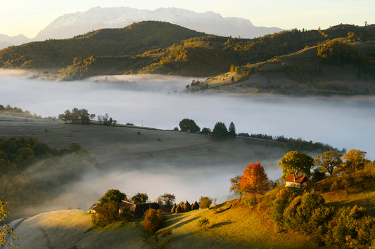 Discovering Săvădisla: A Hidden Gem In Romania