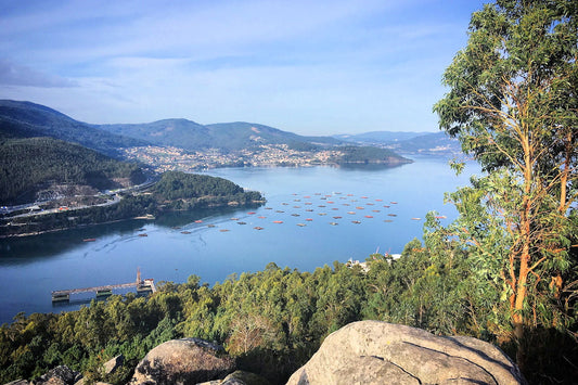 Discovering Redondela: A Hidden Gem In Galicia