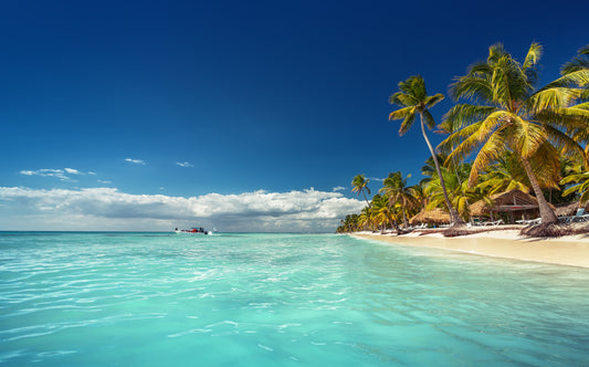 Punta Cana Travel Package: Your Ultimate Guide To Paradise