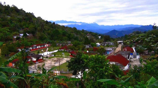 Tamazunchales: A Culinary Delight In The Heart Of Mexico