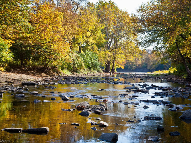 Kankakee River Activities: A Guide To Adventure And Relaxation