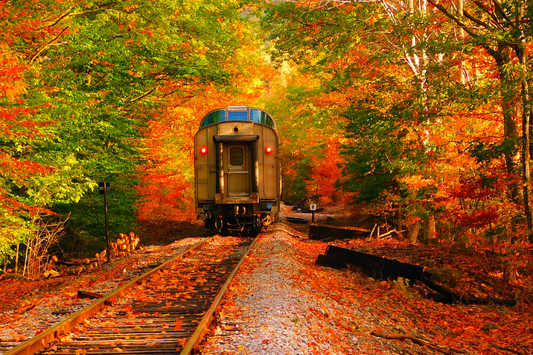 Train Travel Near Me: A Scenic Adventure Awaits