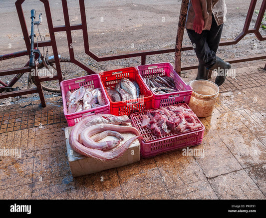 Culinary Delights Of Latakia, Syria